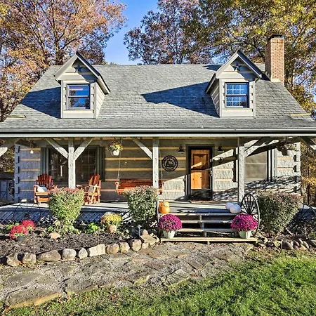 Luxe Dog-Friendly Cabin With Hot Tub And Game Room